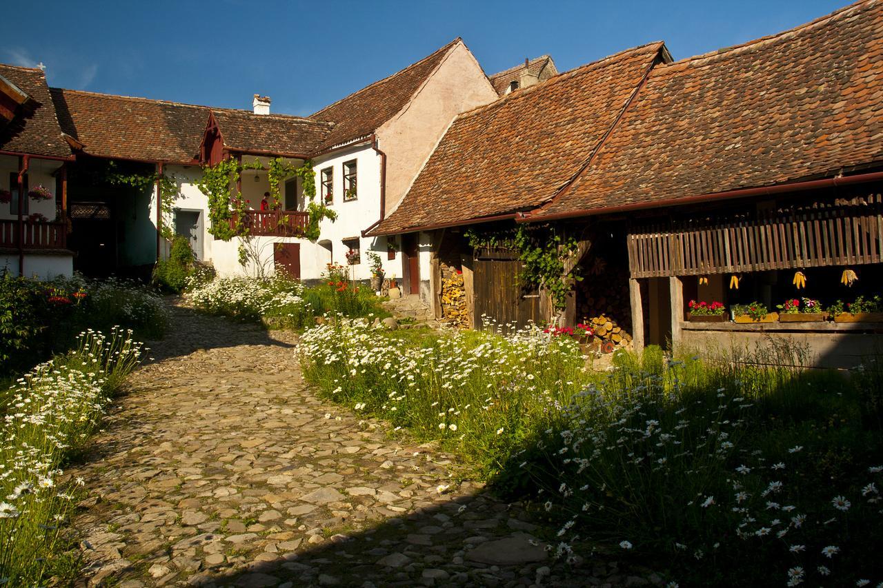 Casa Cu Zorele, Crit 189 Bagian luar foto